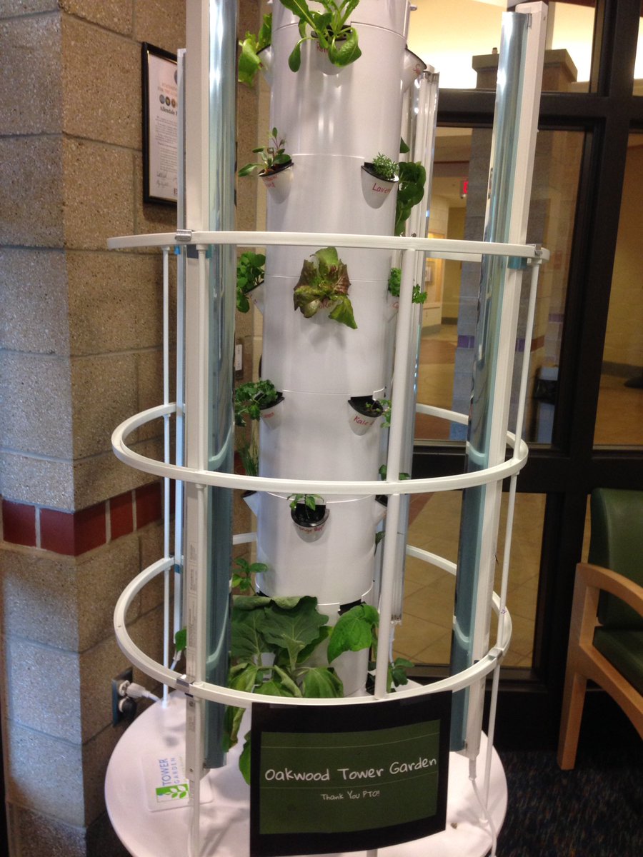 SchroMrs's tweet photo. Oakwood's @TowerGarden.... Amazing amount of growth in just a few weeks!  #aeroponics https://t.co/QPSMVcA8KA