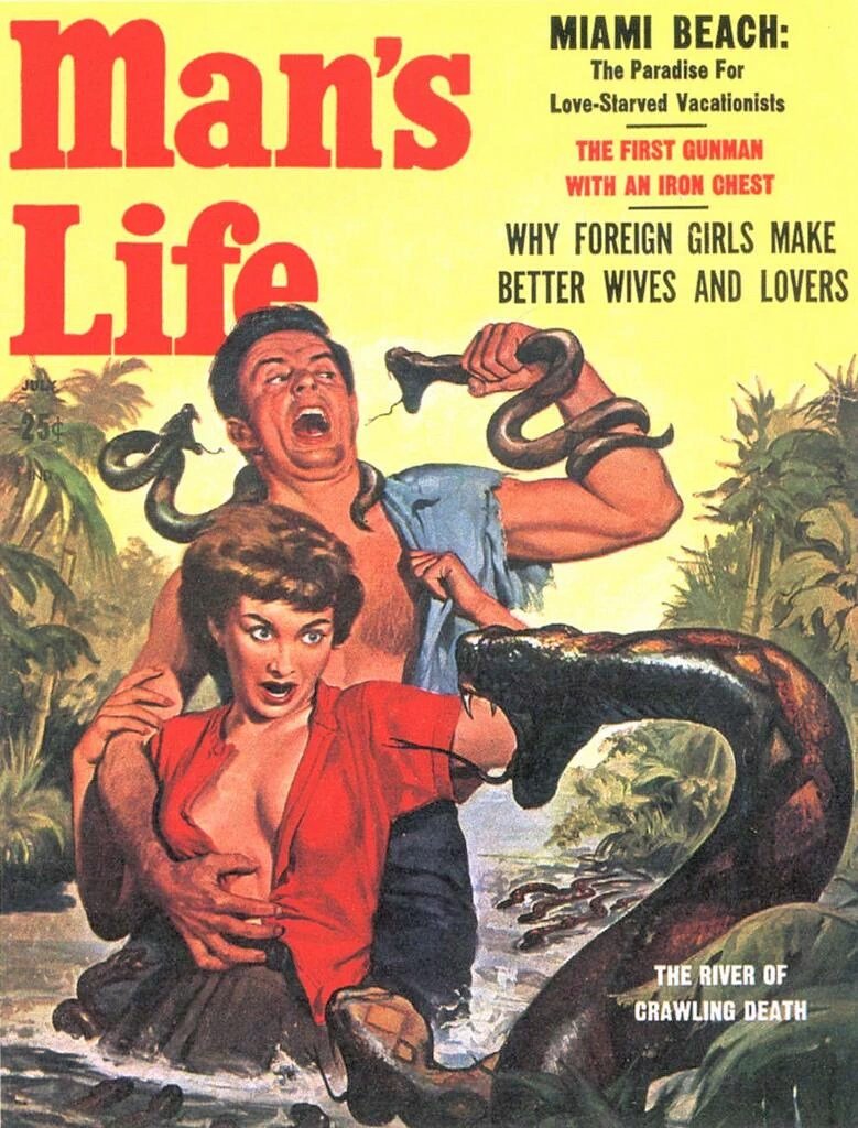 Pulp Librarian tweet media