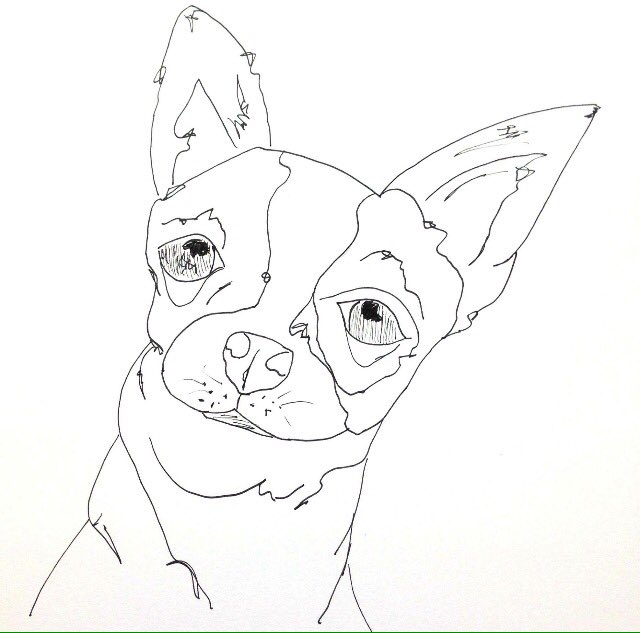 thinkinginlines's tweet image. The sun was shining &amp;amp; the leaves were falling, &amp;amp; underneath the colours that lay at my feet was the cutest Chihuahua I had ever seen! #dogs