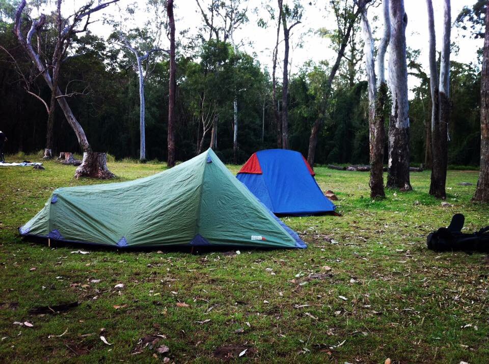 RewildingProjec's tweet photo. What are you doing this #weekend? 
 In #2017, you can join us on #hikes in and around #Brisbane.
More info to come soon. Watch this space! https://t.co/65ghT1W0kt