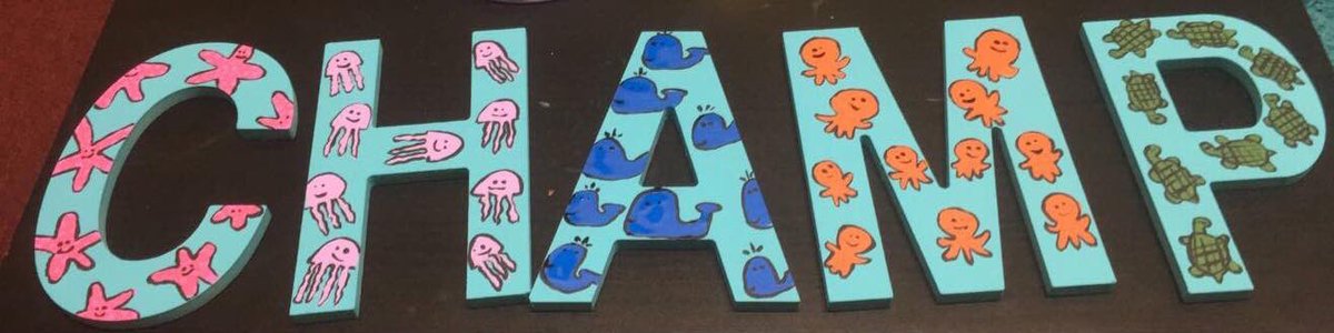 When @Lizzy_Lizdale makes your #vcschamps letters beautiful