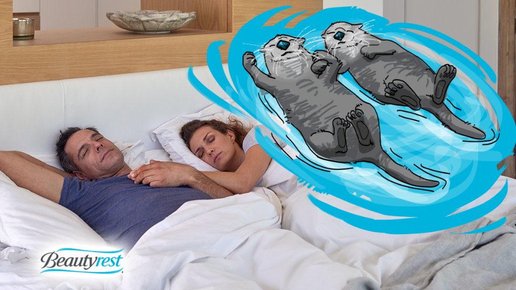Beautyrest's tweet photo. #DidYouKnow: sea otters hold hands while sleeping so they don't drift apart? Discover more animal sleeping quirks: https://t.co/uBMwKTjZDi https://t.co/IwiMrAdU8f