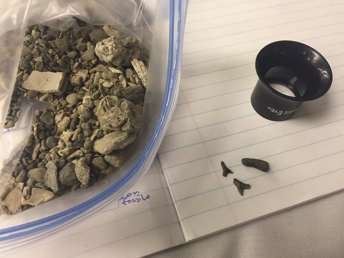LalliLab's tweet photo. Learning what to do with the big box of rocks! #ncsta2016 #NCDEQ https://t.co/Jt0l0solbP