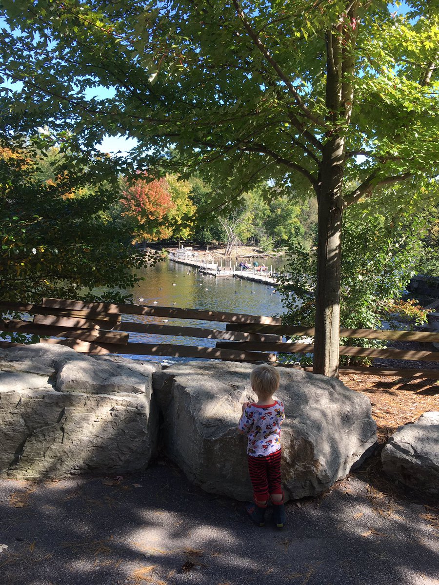 #GreenBay is more than just football. Check out the amazing Wildlife Sanctuary if you're ever here!