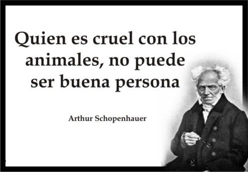 Daysi_G_F's tweet photo. #Garfunkel y #Vanucci nada más que decir... https://t.co/Ei4VOMdHz8