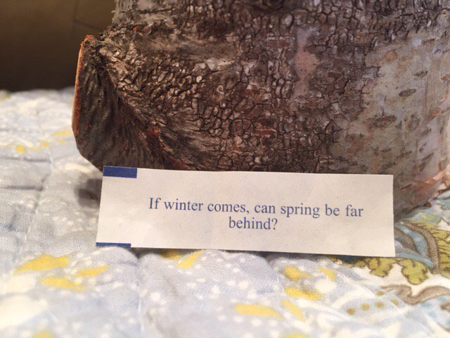 annemariedavid's tweet photo. Grateful for this little message today, in the form of a fortune cookie:" If Winter comes, can Spring be far behind?" https://t.co/zJEPt73ZDA