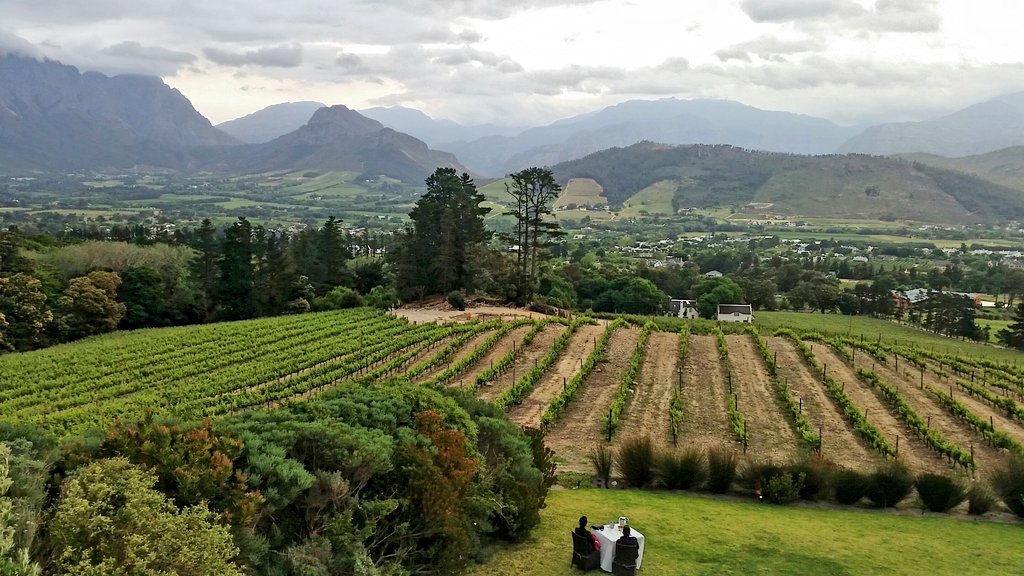 FRestaurants's tweet photo. Looking for the perfect location to watch the sun set over @Franschhoek_SA? Book your table at #RocaRestaurant &amp; a transfer via our site. https://t.co/IcSPmKe2zw