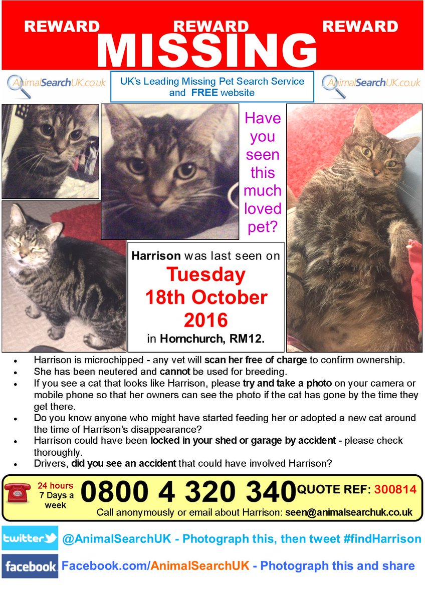 AnimalSearchUK's tweet photo. PLZ RT @CatsProtection @rspcaessexsth #missingcat #hornchurch #RM12 #findharrison
https://t.co/XTr9s5dLGF https://t.co/HOkOzGyWCr