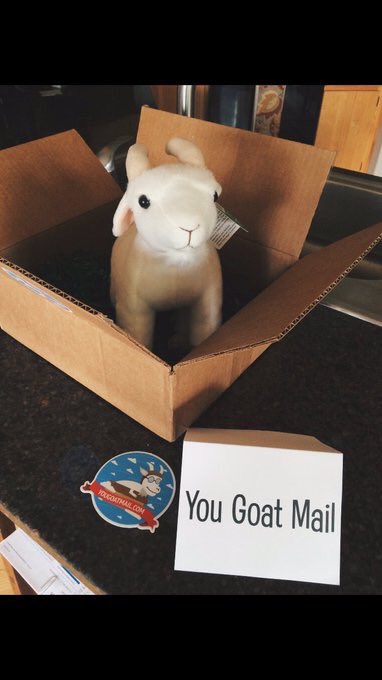 YouGoatMail's tweet image. GIVEAWAY:
-RT To win a free goat 🐐
-Two winners will be selected tomorrow (Oct. 22nd) at 7pm central time 🐐
yougoatmail.com/collections/go… 🐐