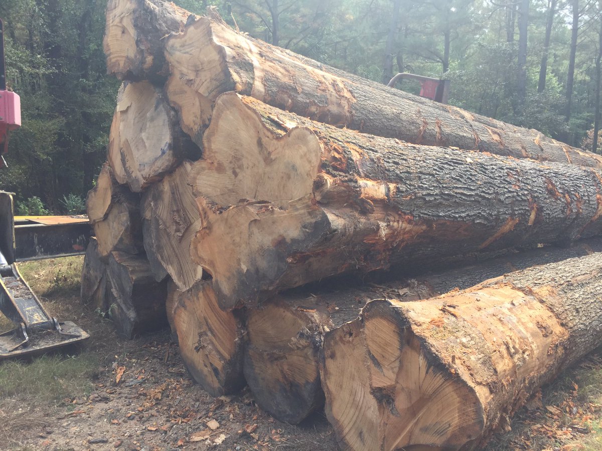 Just sitting around waiting to be auctioned off at Log a Load #logaloadforkids #ACH