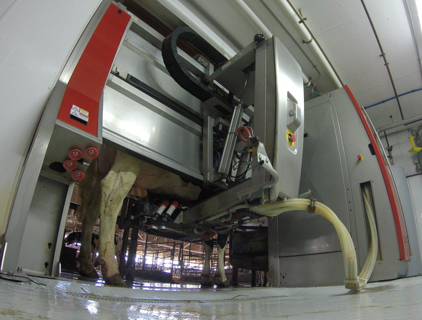 WyattBechtel's tweet photo. I really enjoyed getting to do this story on the first robotic dairy in Kansas https://t.co/ej6jR5SggV #dairy #cattle #technology #Kansas https://t.co/LjgjaffC7B