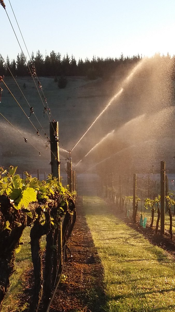 wineorbit's tweet image. A beautiful but a cold morning in Alexandra, Central Otago. Frost fighting. #nzwine