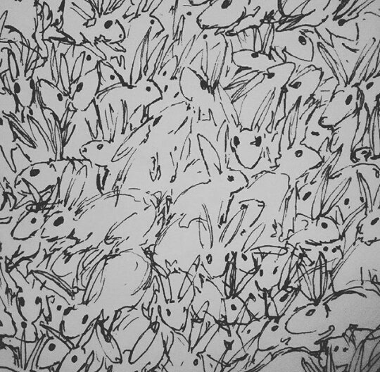 Lepus & Pulse tweet media