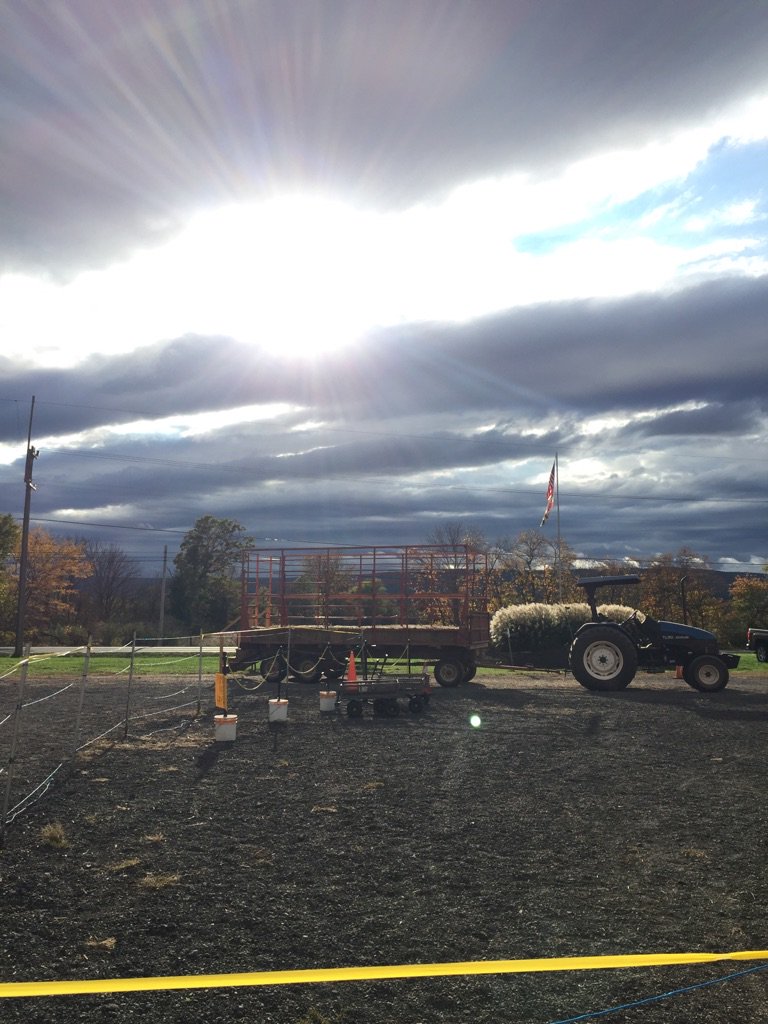 WinterbrookFarm's tweet photo. So far it's been a beautiful day on the farm. It hasn't rained. We will be open until 11pm! https://t.co/2AsIIYry9V