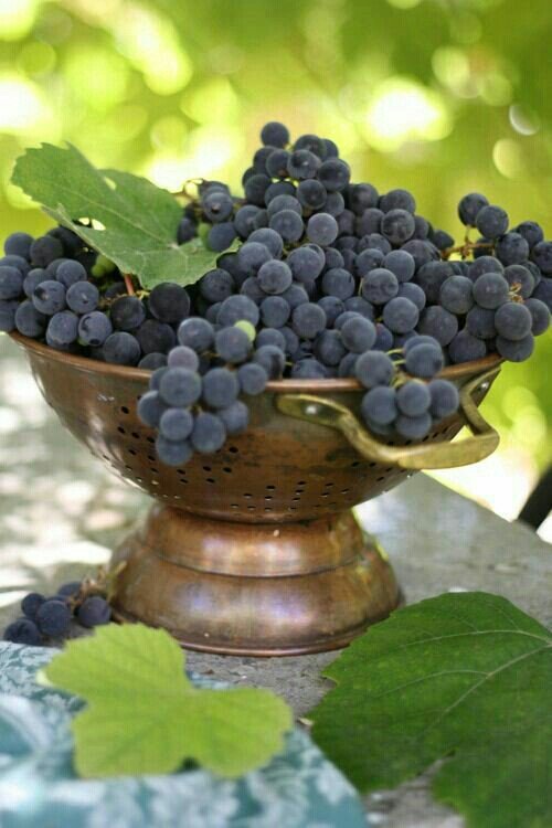 roberto natale (@roberto300669) on Twitter photo 