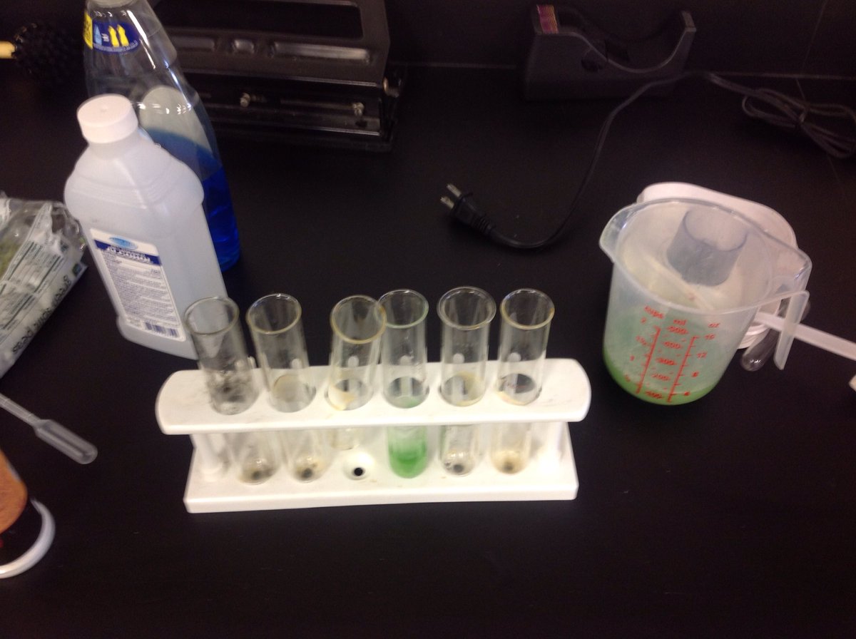 bsbsack's tweet photo. @SchoolABVM 8th grade green split pea DNA extraction. #ABVMScience #dogrcathed https://t.co/53ncKC9bGh
