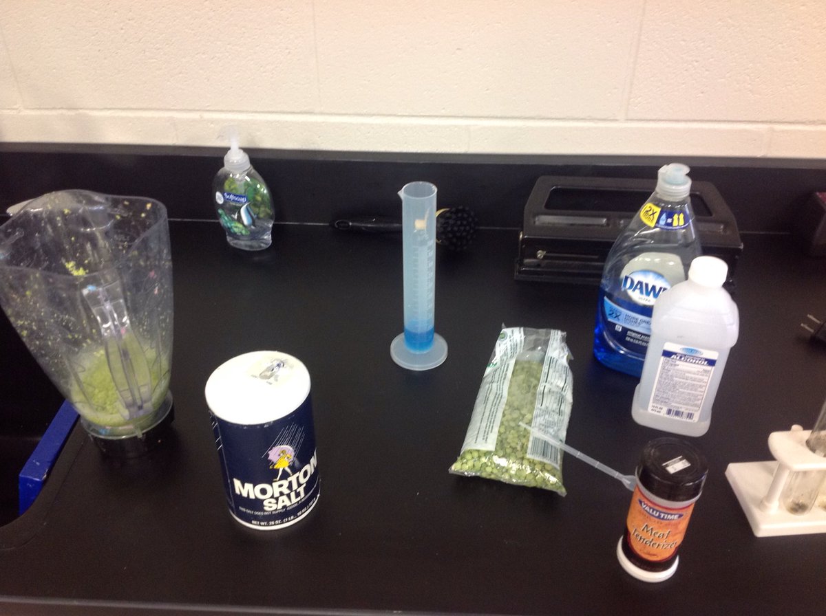 bsbsack's tweet photo. @SchoolABVM 8th grade green split pea DNA extraction. #ABVMScience #dogrcathed https://t.co/53ncKC9bGh