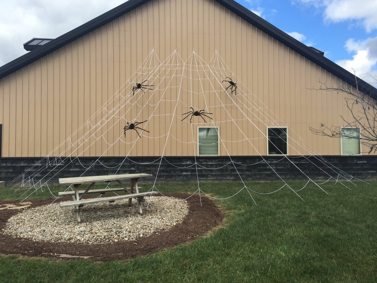 Black Diamond Pest Control | Pest Control