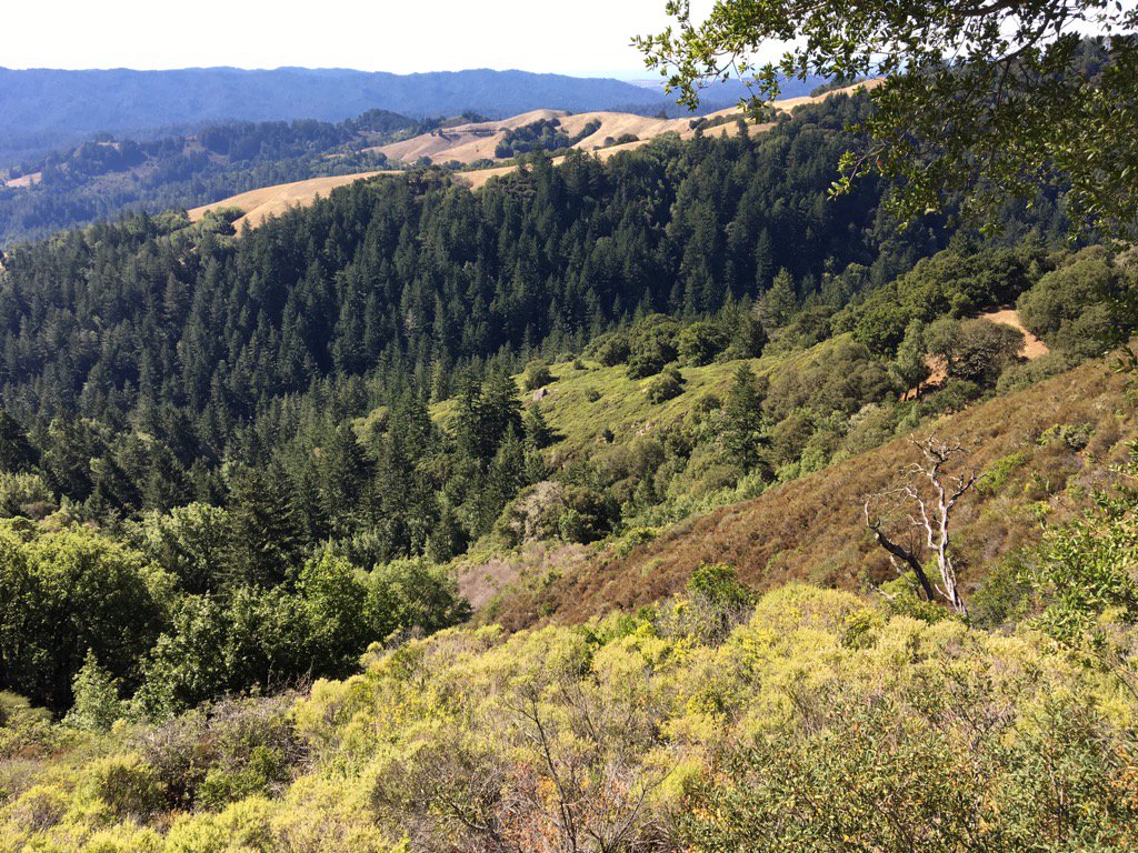 Vishal Sikka tweet media