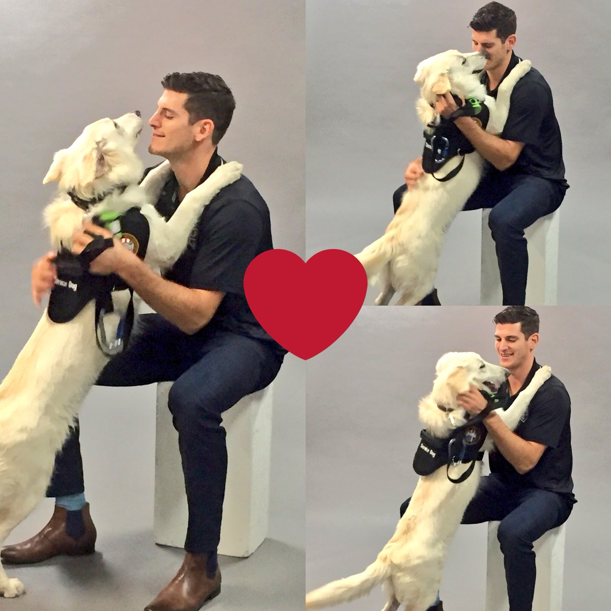 LA Kings tweet media