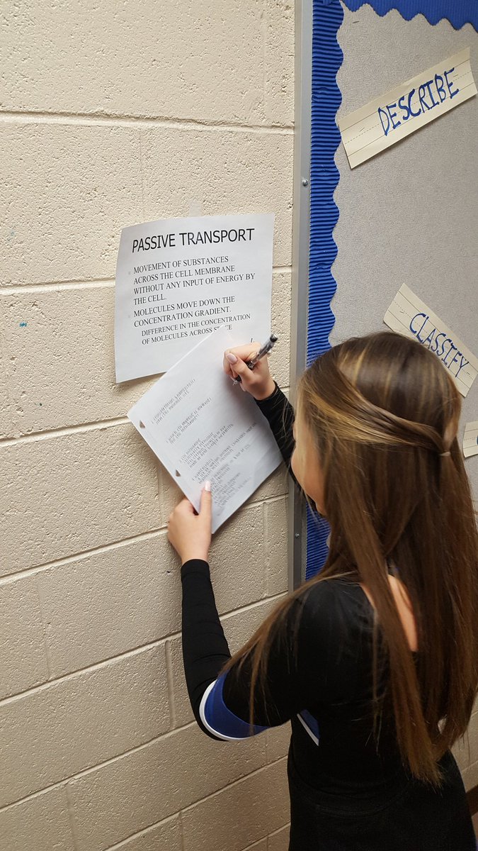 MarquesReischl's tweet photo. Students in Mr Tallman's bio class working with informational text. Students up and moving around. #AZMeritPrep #SOC https://t.co/KppgOUtFFx