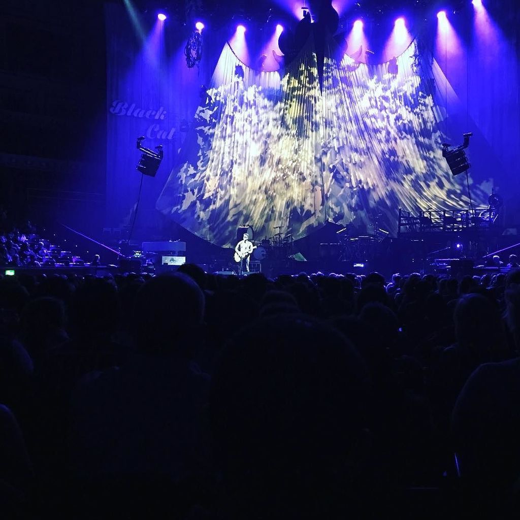 bobjames's tweet photo. A full house sings along... Kelvin Jones Royal Albert Hall... #zuchero #royalalberthall #livemusic #stopthemoment #… https://t.co/cB7H8NqrUm
