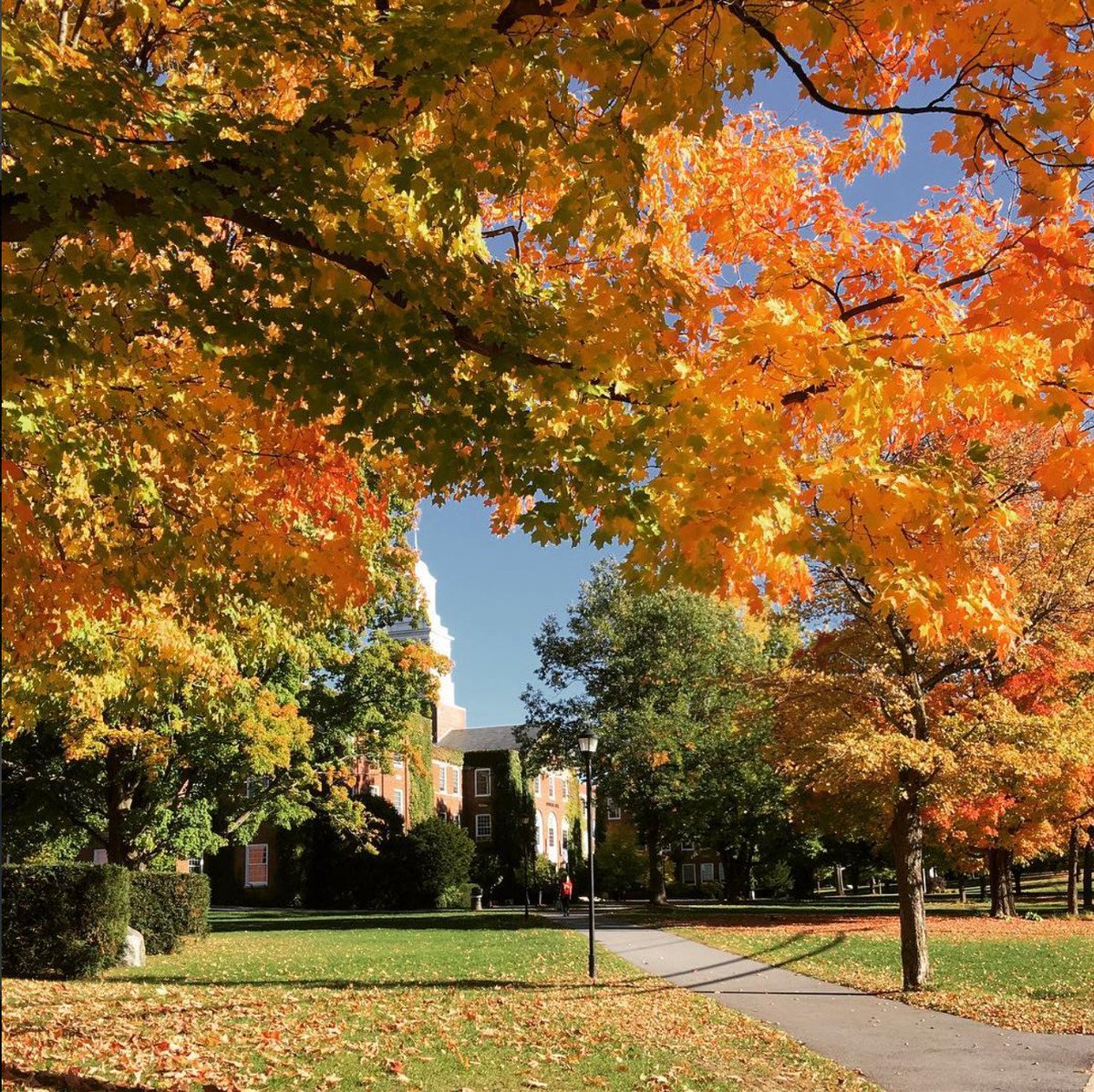 sunypotsdam1816's tweet photo. Congrats to the winner of our #FallingforPotsdam Photo Contest! Those changing leaves are on point. πππ #sunypotsdam #potsdamproud https://t.co/AWaQMxwyGa