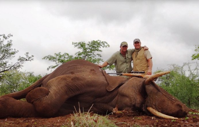 Vegan_Corp's tweet image. Chassé l'éléphant.... pour le bien de l'espèce ! ouest-france.fr/sport/video-d-… Sans commentaire.....