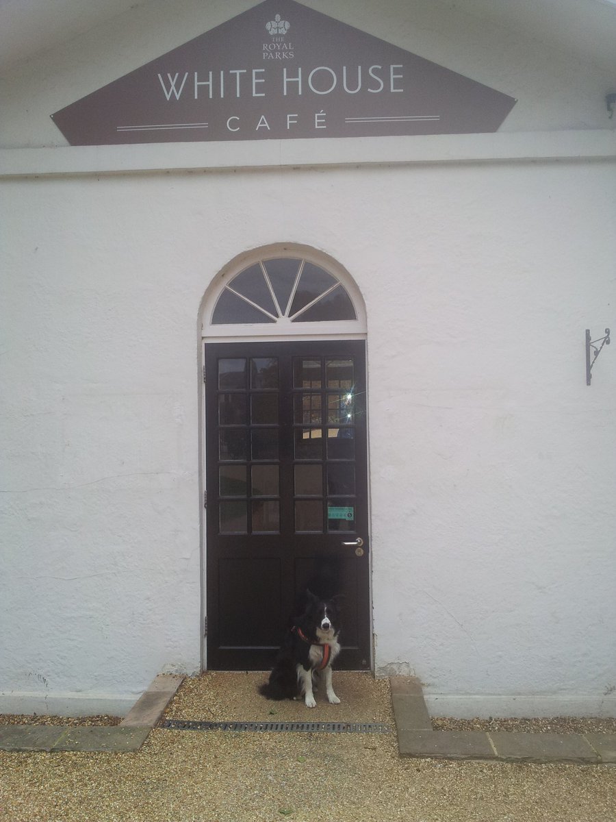 Make ME President! I'm smarter than yer average contender...
 <a href="/BCTGB/">Border Collie Trust</a>  <a href="/GreenwichPkCafe/">GreenwichParkCafes</a> <a href="/WhiteHouse/">The White House</a>