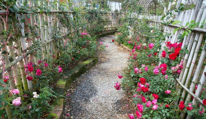 js_agency's tweet photo. Looking for a natural, strong and versatile fencing material? Consider bamboo: https://t.co/asNqBwzjNW https://t.co/f8fd13kr0V