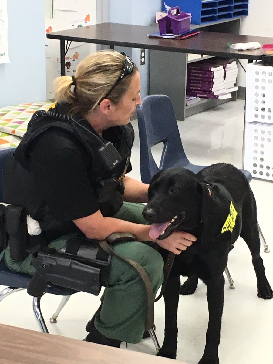 Cherpocks3rd's tweet photo. Our DOES animal lovers club member enjoyed their time with Dobies! @SarahBordner55 https://t.co/o3946vbbqJ