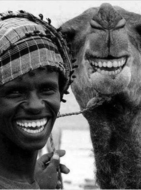 err_4e's tweet image. #هل_تعلم
الإبتسامة تجلب الأصدقاء، والعبوس يجلب التجاعيد :)