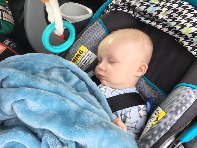 View image on Twitter