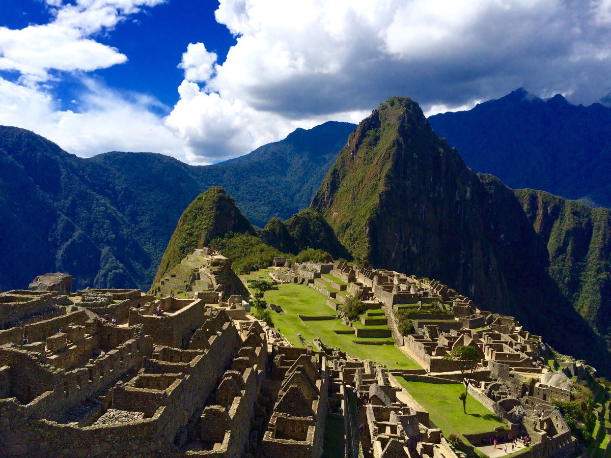 Humphrey Cobbold (@cobboldhumphrey) on Twitter photo 