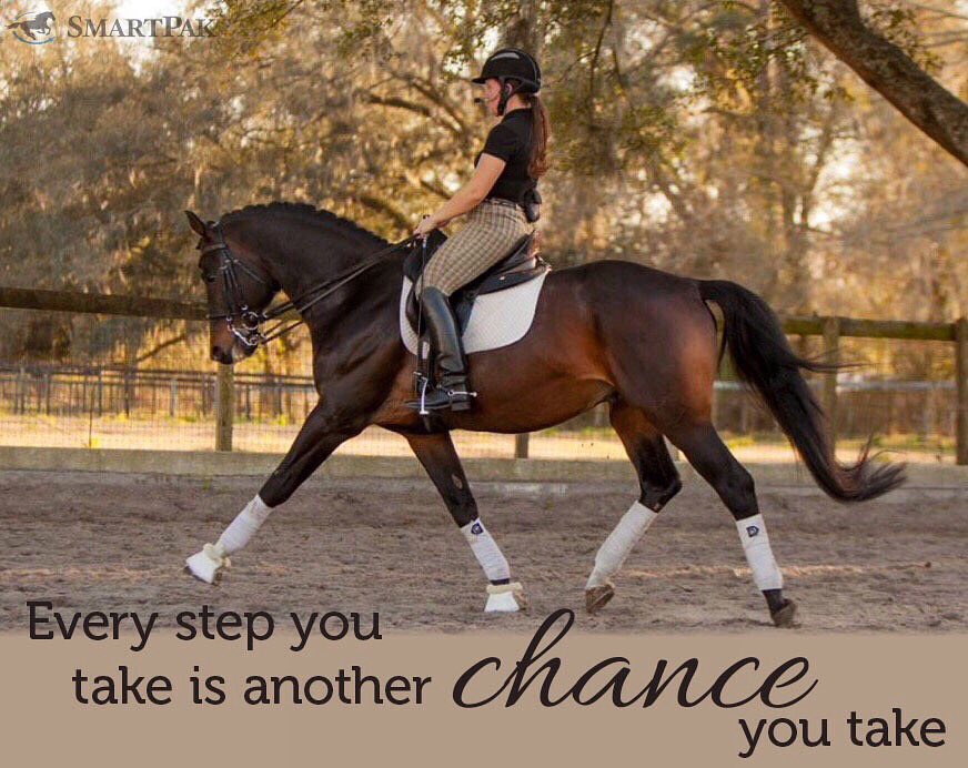 SmartPak's tweet photo. It’s #FeatureFriday and this #SmartPakPhotoFeature comes to you from SmartPak fan Bryana and her horse Tanzeln. https://t.co/rp6AM4f8Q5