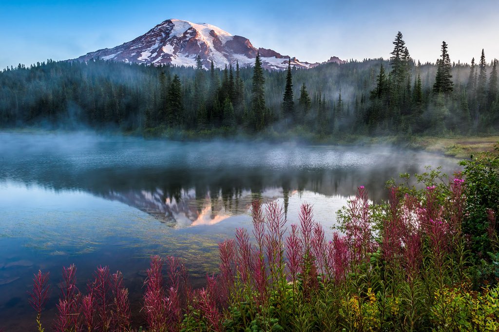 Interior's tweet photo. Beyond beautiful: Reflection Lake @MountRainierNPS by Mike Walker #Washington https://t.co/EVZa1TBbxg
