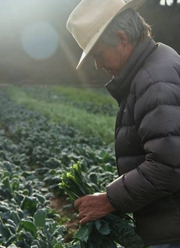 SOARVC's tweet photo. Meet Steve Sprinkel, pioneer of #organic #farming, owner of #CCOF certified land, #CSA producer & #SOARVC #YesOnC supporter. Thanks Steve! https://t.co/nIp2dSQuNQ