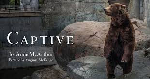 New photojournalism project on captivity by Jo-Anne McArthur. She calls Captive an indictment and a plea for change: ow.ly/1fZp305qdaD
