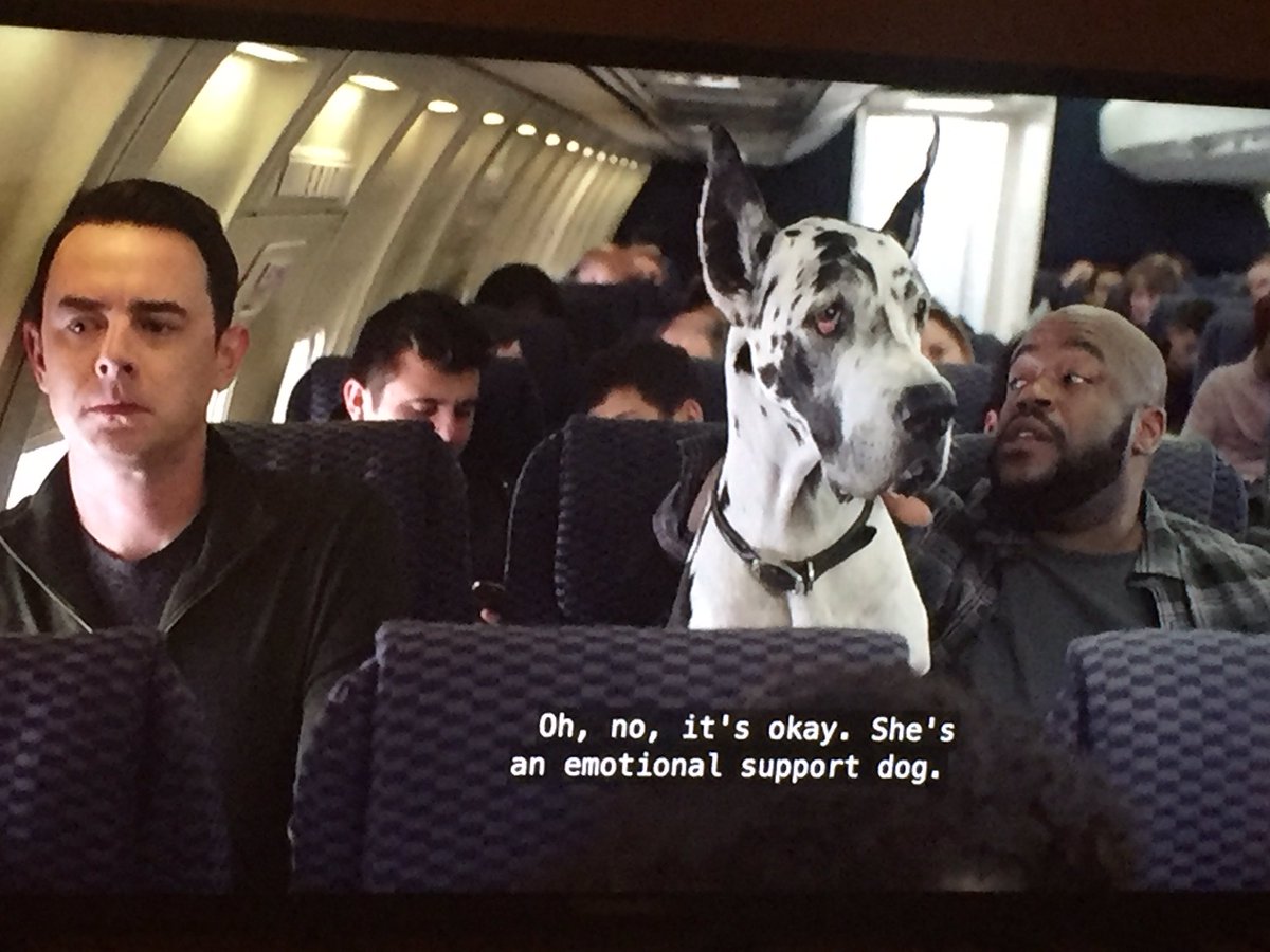 ottawadeafgirl's tweet photo. Emotional support #dane #greatdane @LifeInPiecesCBS @DanesInDistress #SoTrue #Comort #grounding https://t.co/9oXRJx5Heu