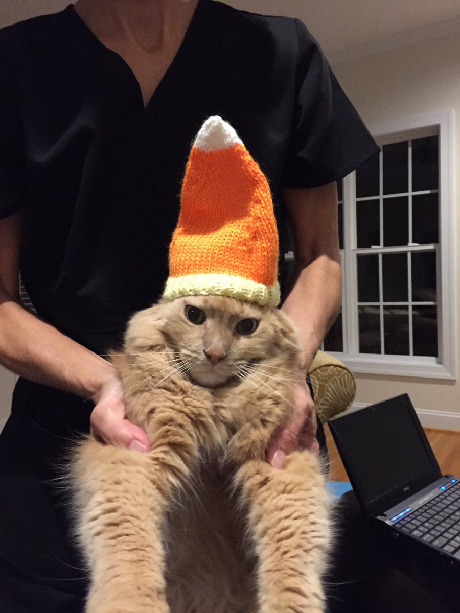 NatalieZazzeri's tweet photo. Cat In The (candy corn) Hat https://t.co/DPrvIX6GqP