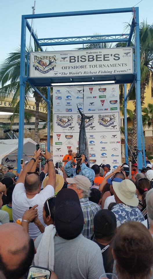CaboCigarCo's tweet photo. #CaboCigarCompany present in the #Bisbee's Black & Blue Marlin Tournament 2016 with 100% Guaranteed #CubanCigars!
#loscabos #bisbees2016 https://t.co/NzV9N6bkYo