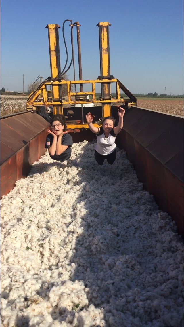 Brittt_luvs_you's tweet photo. We 💛 cotton! #shirtsforeveryone https://t.co/2CsEIpqMab