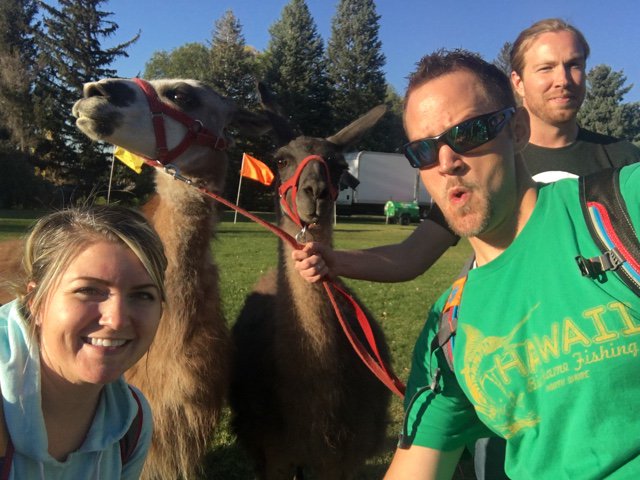 1AliciaAtkinson's tweet photo. A little Llama Love and Trevor's Llama Face. #Kidless424 #questival https://t.co/qo5hqbeRKY