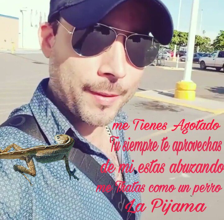 MaryTremenda62's tweet photo. @GermanMontero5 No se te olvide traerte a la #Cachora te queremos ver llegar así con ella porque es la nueva Mascota de la #Familia GM https://t.co/qv3yGAWaEC