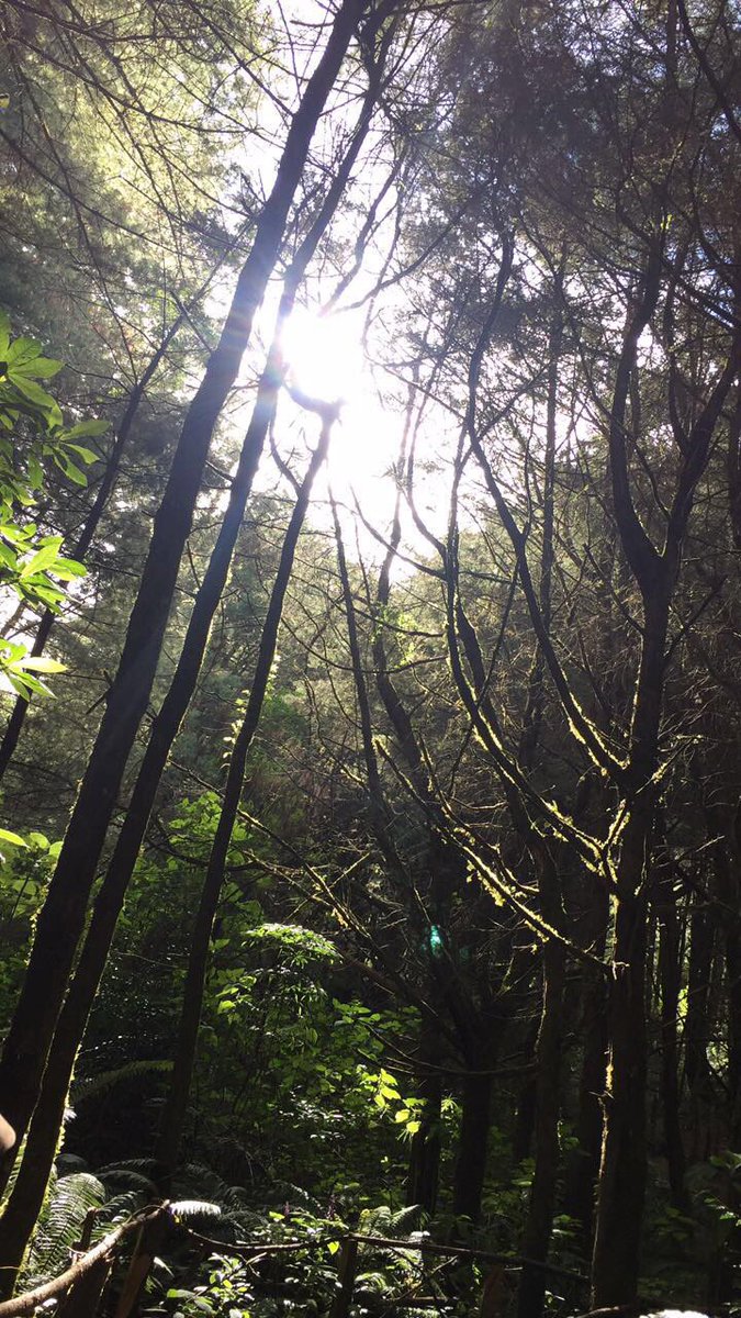 VJ_1719's tweet photo. Y es aquรญ donde puedo encontrar paz interior!
Saber que es lugar perfecto para encontrarme conmigo misma!
#naturale #explare ๐๐ณ๐ฒ๐ฟ๐๐๐๐๐พ๐ณ๐ฒ๐๐ท https://t.co/sgNODn8JNj