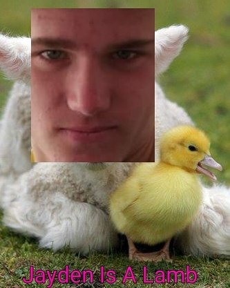 Danielle Sharp Sex Tape Jayden And The Duck