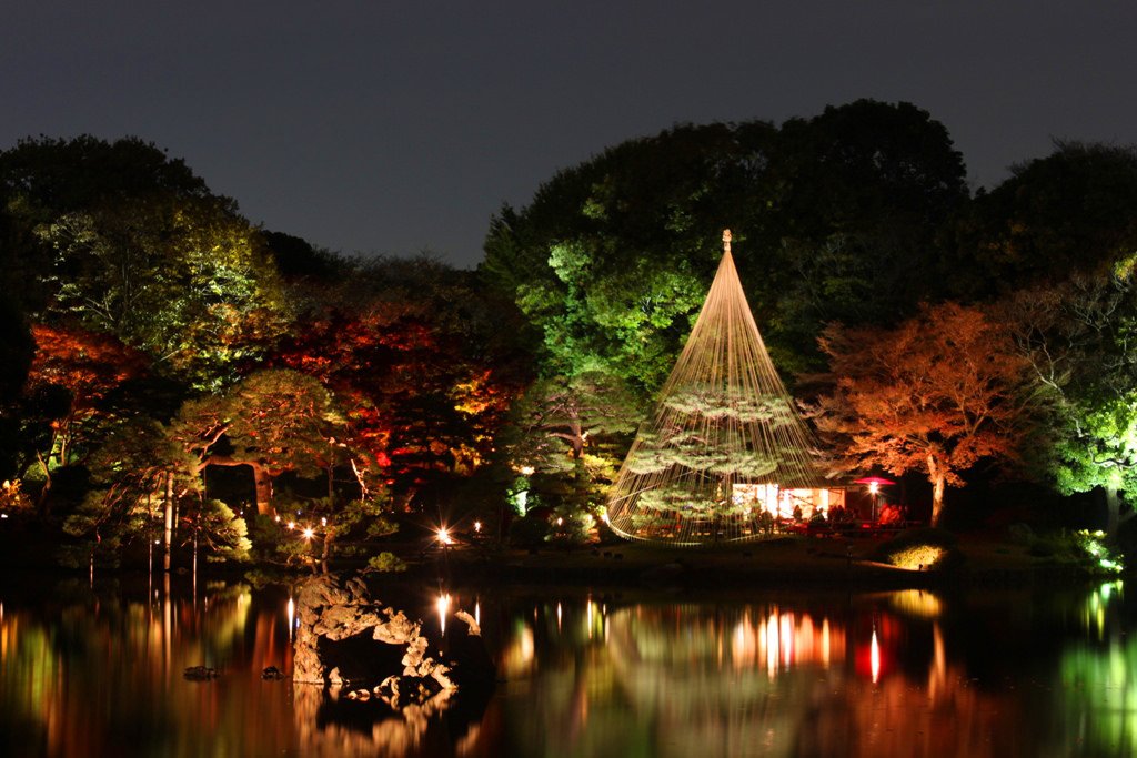 borderlesstokyo's tweet photo. Today's schedule: Plan our November event! Illumination and fall leaves anyone? #november #illumination #tokyo #sharehouse  #borderlesstokyo https://t.co/UZkZmF29O1