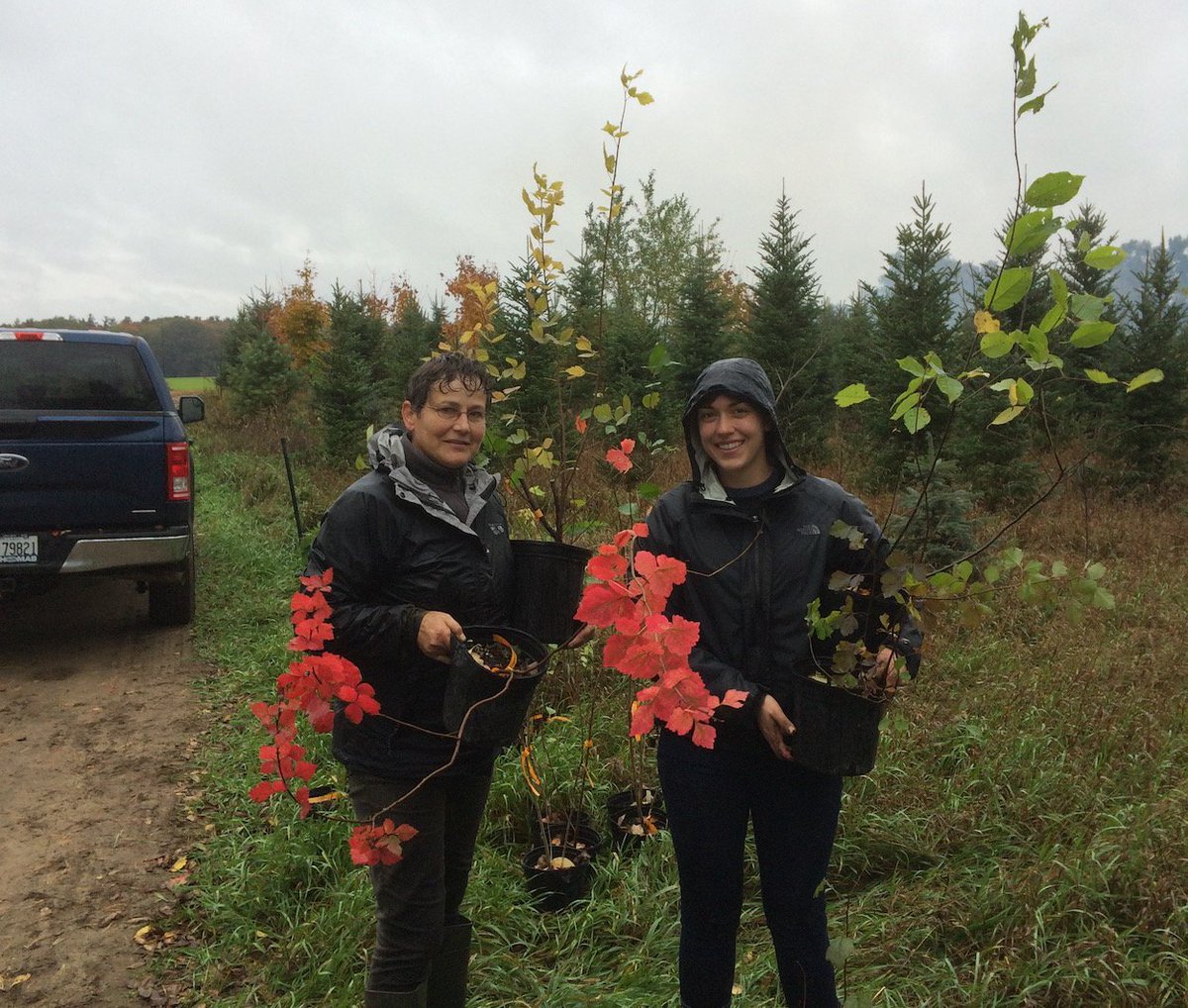 NigelERaine's tweet photo. Great day planting #ONpollinator-friendly trees &amp; shrubs @Howefamilyfarms for our  @OntarioSoilCrop #GLASI project @Squash_Bee @UofGuelphOAC https://t.co/2C7InpbtMq