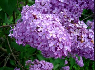 QuestionDeJour's tweet image. Since we are shaped by our thoughts and we become what we think, what have you been thinking a lot about lately?