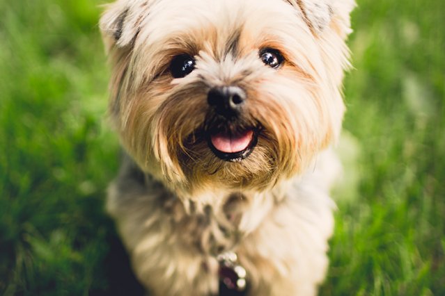 An important lesson from <a href="/blackmirror/">Black Mirror</a> S03E01 on treating people like people | read.aici.al/pofr6